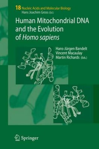 Cover of Human Mitochondrial DNA and the Evolution of Homo Sapiens