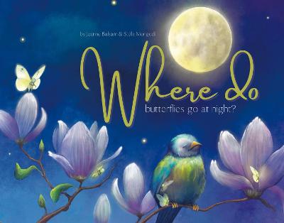 Book cover for Where Do Butterflies Go at Night?