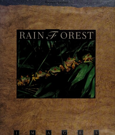 Book cover for Rain Forest