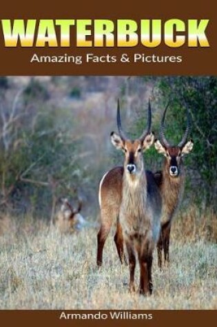 Cover of Waterbuck
