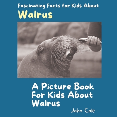 Book cover for A Picture Book for Kids About Walrus