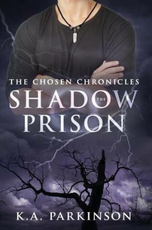 Cover of The Shadow Prison