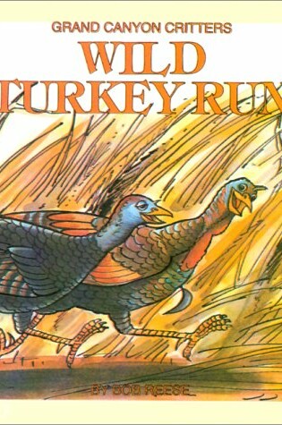 Cover of Wild Turkey Run