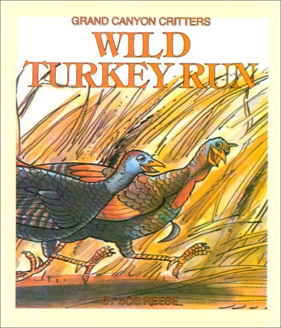 Book cover for Wild Turkey Run
