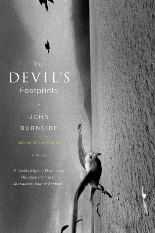 Cover of The Devil's Footprints