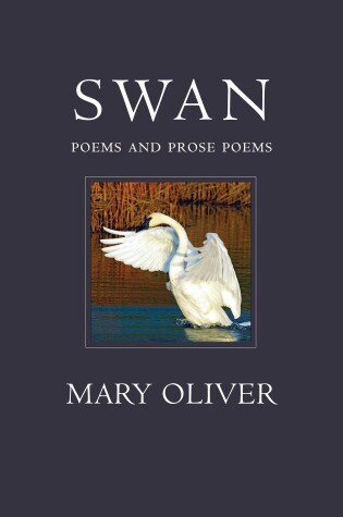 Cover of Swan