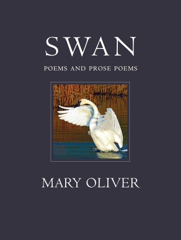 Book cover for Swan