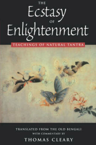 Cover of The 10 Ecstasy of Enlightenment