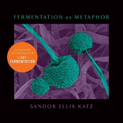 Cover of Fermentation as Metaphor