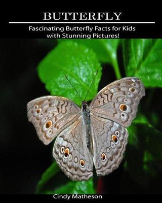 Book cover for Butterfly