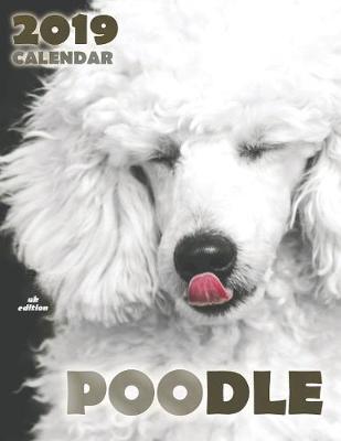 Book cover for Poodle 2019 Calendar (UK Edition)