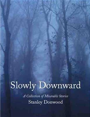 Book cover for Slowly Downward