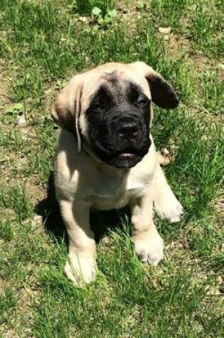 Cover of The English Mastiff Dog Journal