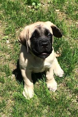 Book cover for The English Mastiff Dog Journal