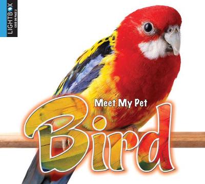 Book cover for Bird