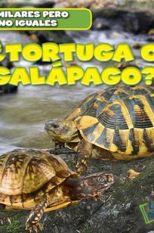 Cover of ¿Tortuga O Galápago? (Turtle or Tortoise?)