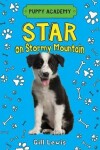 Book cover for Star on Stormy Mountain