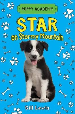 Book cover for Star on Stormy Mountain