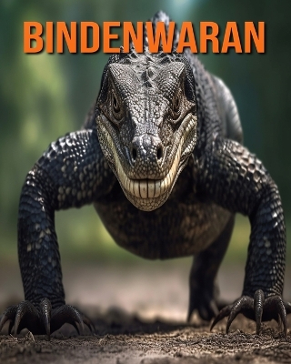 Book cover for Bindenwaran