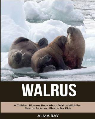 Book cover for Walrus