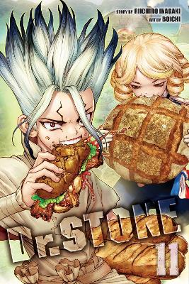 Book cover for Dr. STONE, Vol. 11