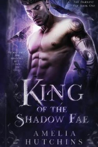 Cover of King of the Shadow Fae