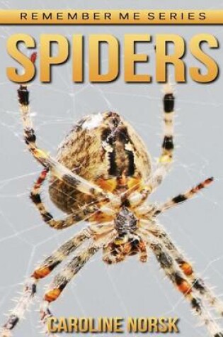 Cover of Spiders