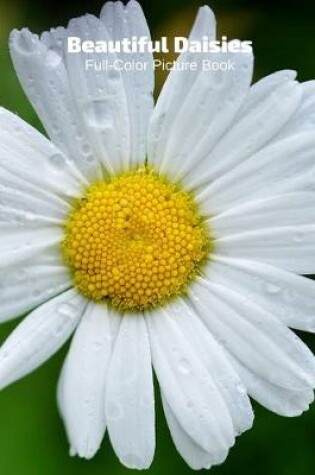 Cover of Beautiful Daisies Full-Color Picture Book