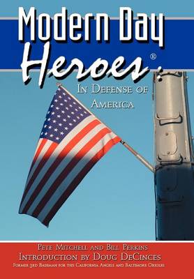 Book cover for Modern Day Heroes