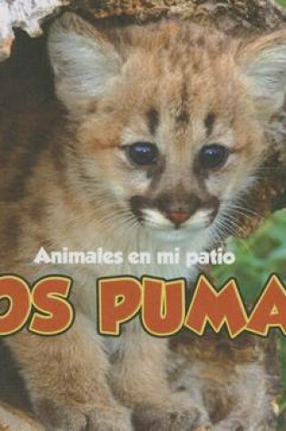 Cover of Los Pumas