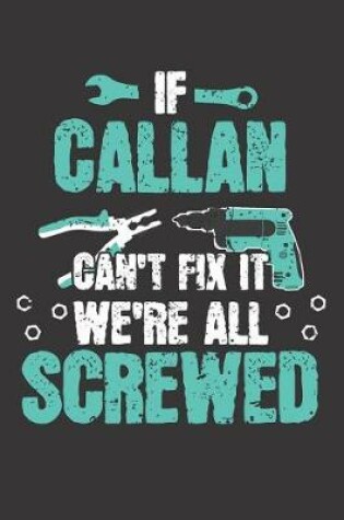 Cover of If CALLAN Can't Fix It