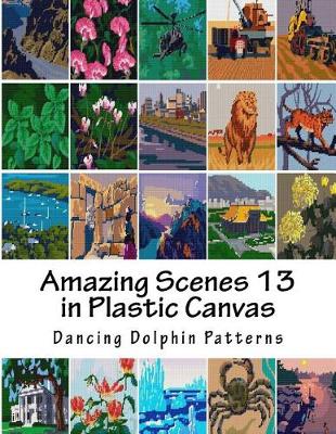 Book cover for Amazing Scenes 13