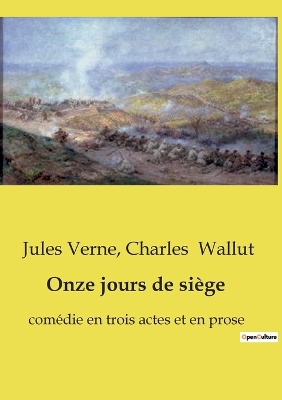 Book cover for Onze jours de siège