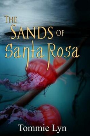 Cover of The Sands of Santa Rosa