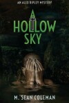 Book cover for A Hollow Sky
