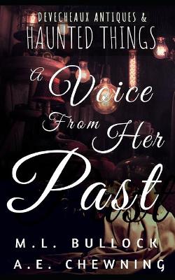 Book cover for A Voice From Her Past
