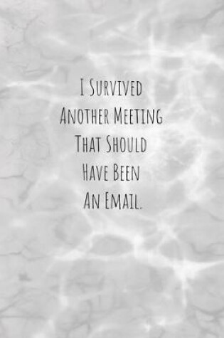 Cover of I Survived Another Meeting That Should Have Been An Email