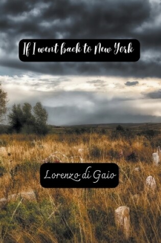 Cover of If I Went Back to New York