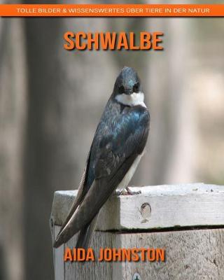 Book cover for Schwalbe