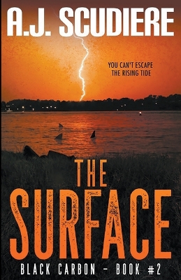 Book cover for The Surface