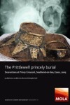 Book cover for The Prittlewell Princely Burial