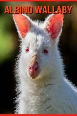 Cover of Albino Wallaby