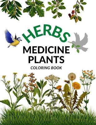 Book cover for Herbs Medicine Plants Coloring book