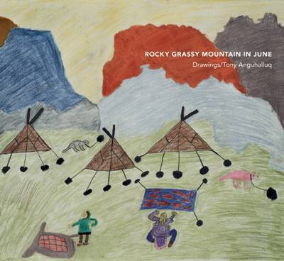 Book cover for Rocky Grassy Mountain in June