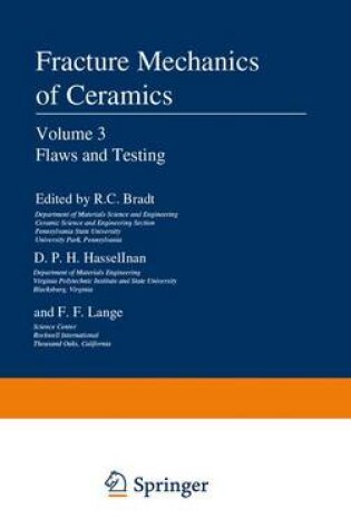 Cover of Flaws and Testing