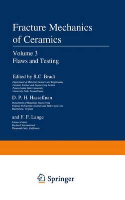 Book cover for Flaws and Testing