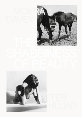 Book cover for The Shabbiness of Beauty