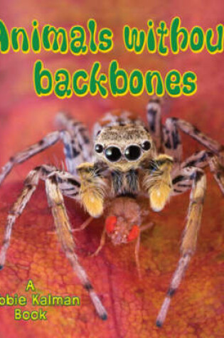 Cover of Animals Without Backbones