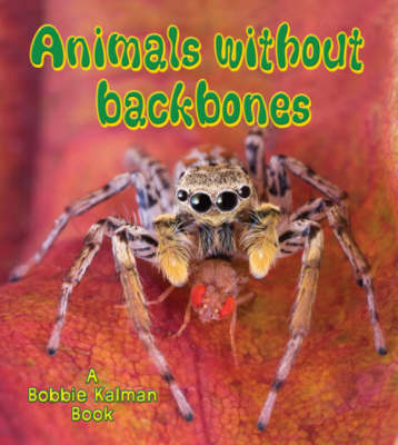 Cover of Animals Without Backbones