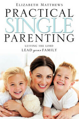 Cover of Practical Single Parenting